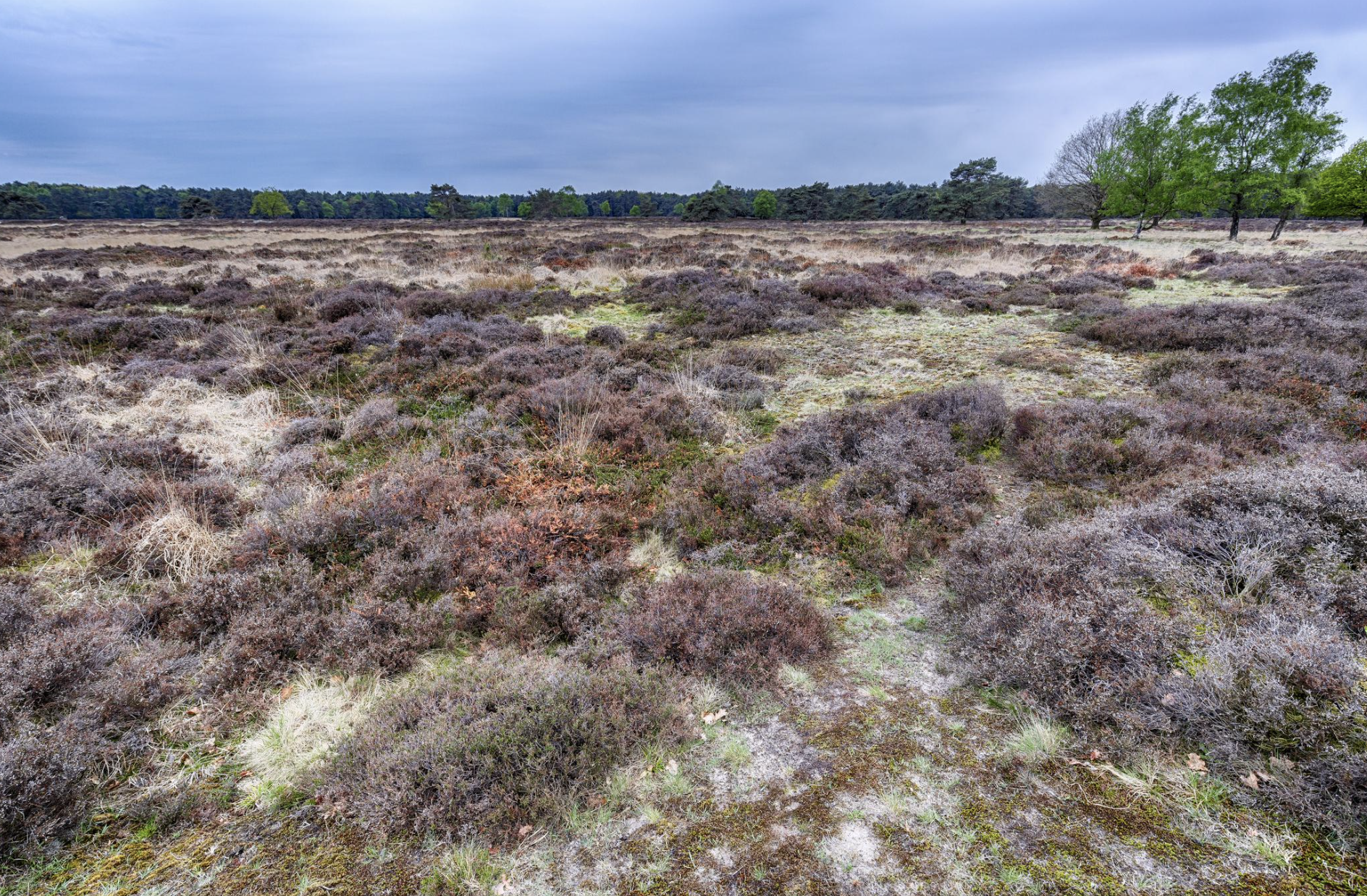 Wat te doen rond Hooghalen