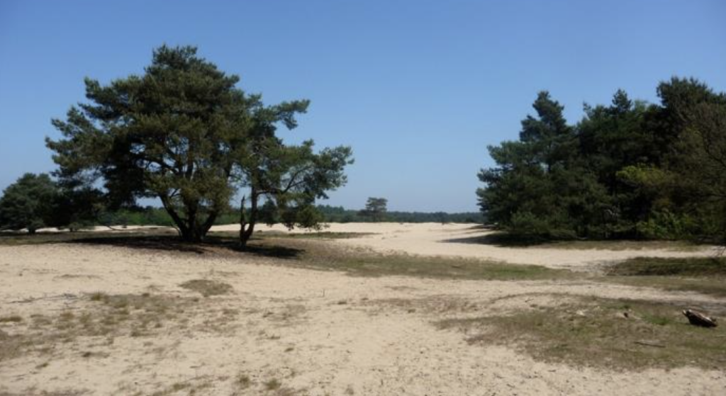 Wat te doen bij regen rondom Het Grote Zand?