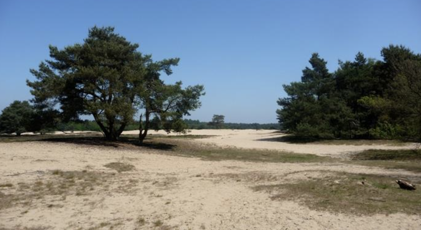 Wat te doen bij regen rondom Het Grote Zand?
